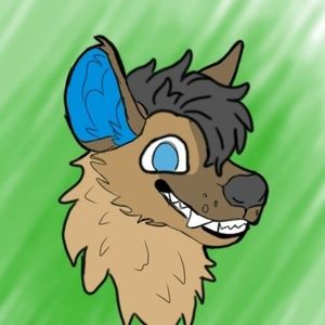 Meet your Posher, Nathan